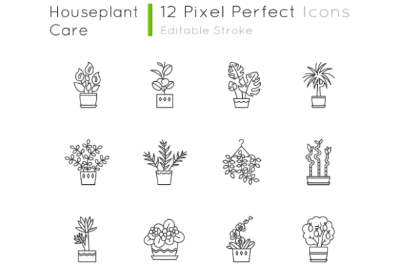 Houseplants Pixel Perfect Icons Set: A Practical Guide to Clean Botanical Design