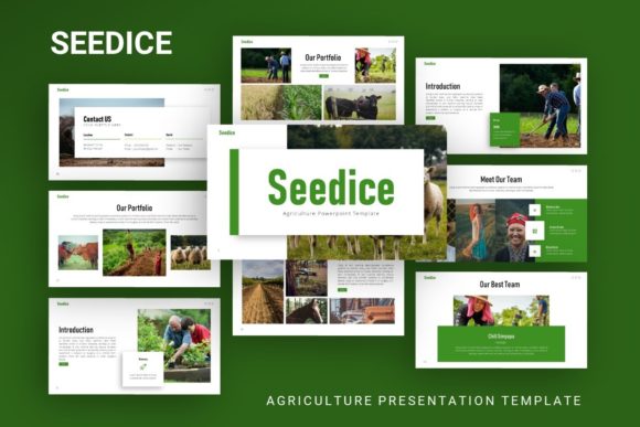 Presentation Template - Seedice: A Versatile Solution for Professional Visual Storytelling