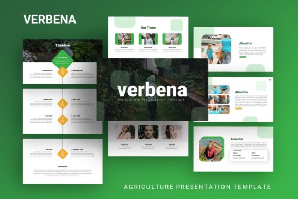 Presentation Template Verbane: A Practical Guide to Versatile Slide Design